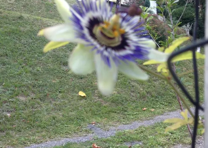 Direkt Am By Interhome * 로크베